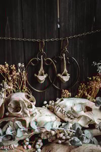 Image 3 of Wild bone hoops