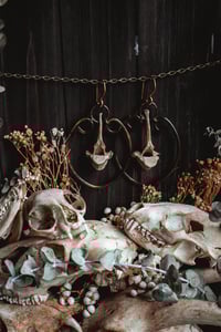 Image 4 of Wild bone hoops