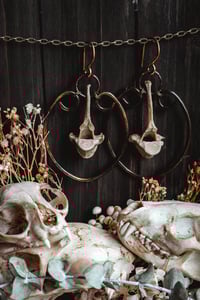 Image 5 of Wild bone hoops