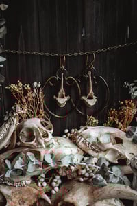 Image 6 of Wild bone hoops