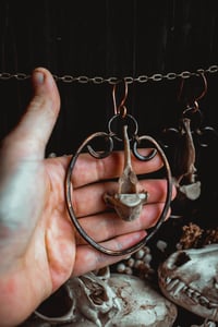 Image 7 of Wild bone hoops