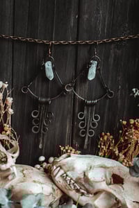 Image 4 of Crystal fringe earrings