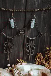 Image 8 of Crystal fringe earrings