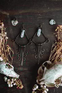 Image 6 of Crystal fringe earrings
