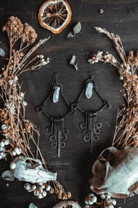 Image 7 of Crystal fringe earrings