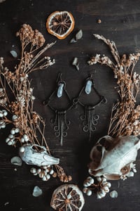 Image 9 of Crystal fringe earrings