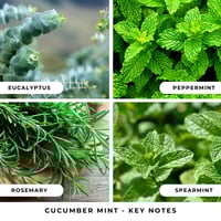 Image 5 of Cucumber Mint Bar Soap