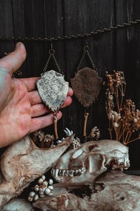 Image 6 of Bone shield 