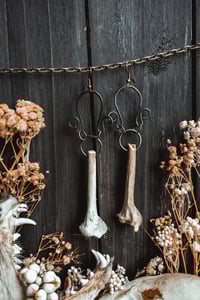 Image 1 of Wire and bone