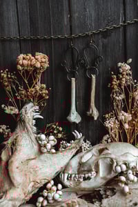 Image 5 of Wire and bone