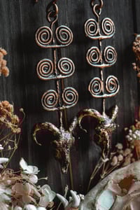Image 6 of Spiraling rams 
