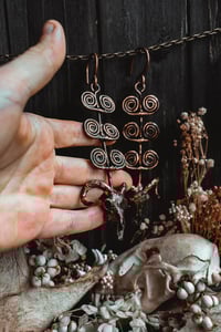 Image 7 of Spiraling rams 