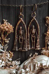 Image 1 of Cathedrals protector 