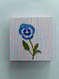 Image 3 of Pansy