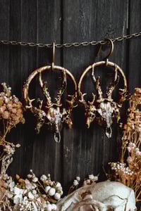 Image 1 of triple stag
