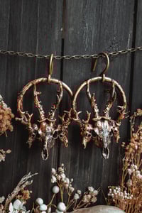 Image 3 of triple stag