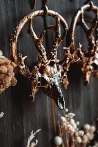 Image 5 of triple stag