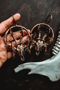 Image 10 of triple stag