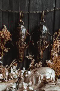 Image 2 of Fox skull ear hangers