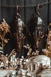 Image 4 of Fox skull ear hangers