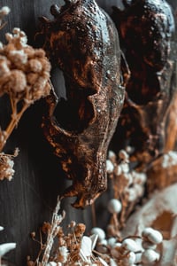 Image 7 of Fox skull ear hangers