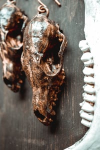 Image 9 of Fox skull ear hangers
