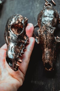 Image 10 of Fox skull ear hangers