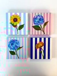 Image 3 of Hydrangea 