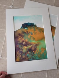 May Hill pigment painting 2