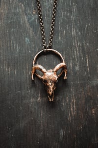 Image 3 of Ram