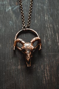 Image 4 of Ram