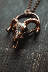 Image 2 of Ram