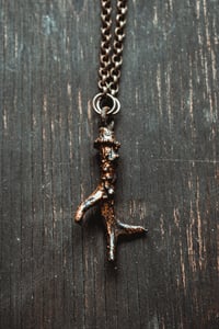 Image 5 of Miniature antler