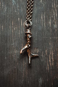 Image 2 of Miniature antler