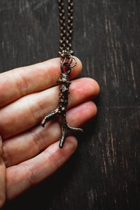 Image 3 of Miniature antler