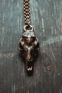 Image 4 of deer skull 