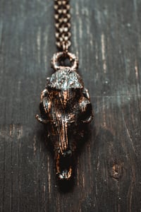 Image 3 of deer skull 