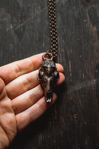 Image 5 of deer skull 