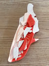 Arowana Plate (DAMAGED)