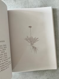 Image 2 of MOUSSE #90 The Fiction Issue 