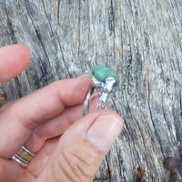 Image 3 of Chryso Joy, US 7