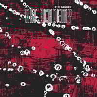 Image 1 of Art Academy - The Banker 12"