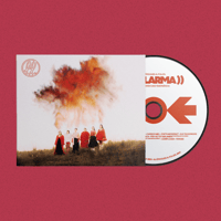 Image 1 of CD AL·LARMA