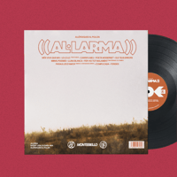 Image 2 of Vinil AL·LARMA