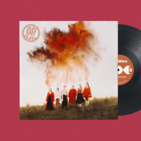 Image 1 of Vinil AL·LARMA