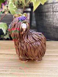 Image 2 of Zinnia