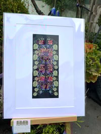 Image 1 of ' Nasturtiums' Mounted Print 
