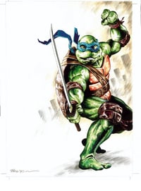 Ninja Turtles Cover Art