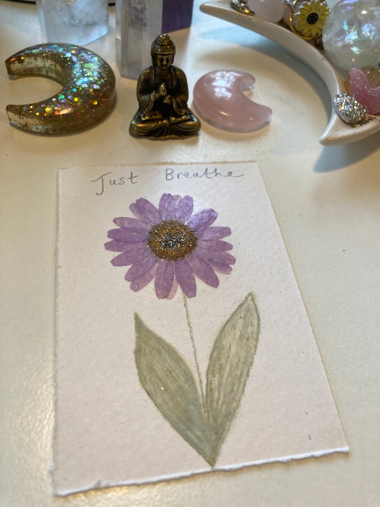 Image of Pressed flower 