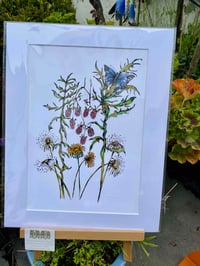 Image 1 of 'Irish Weeds' Mounted Print